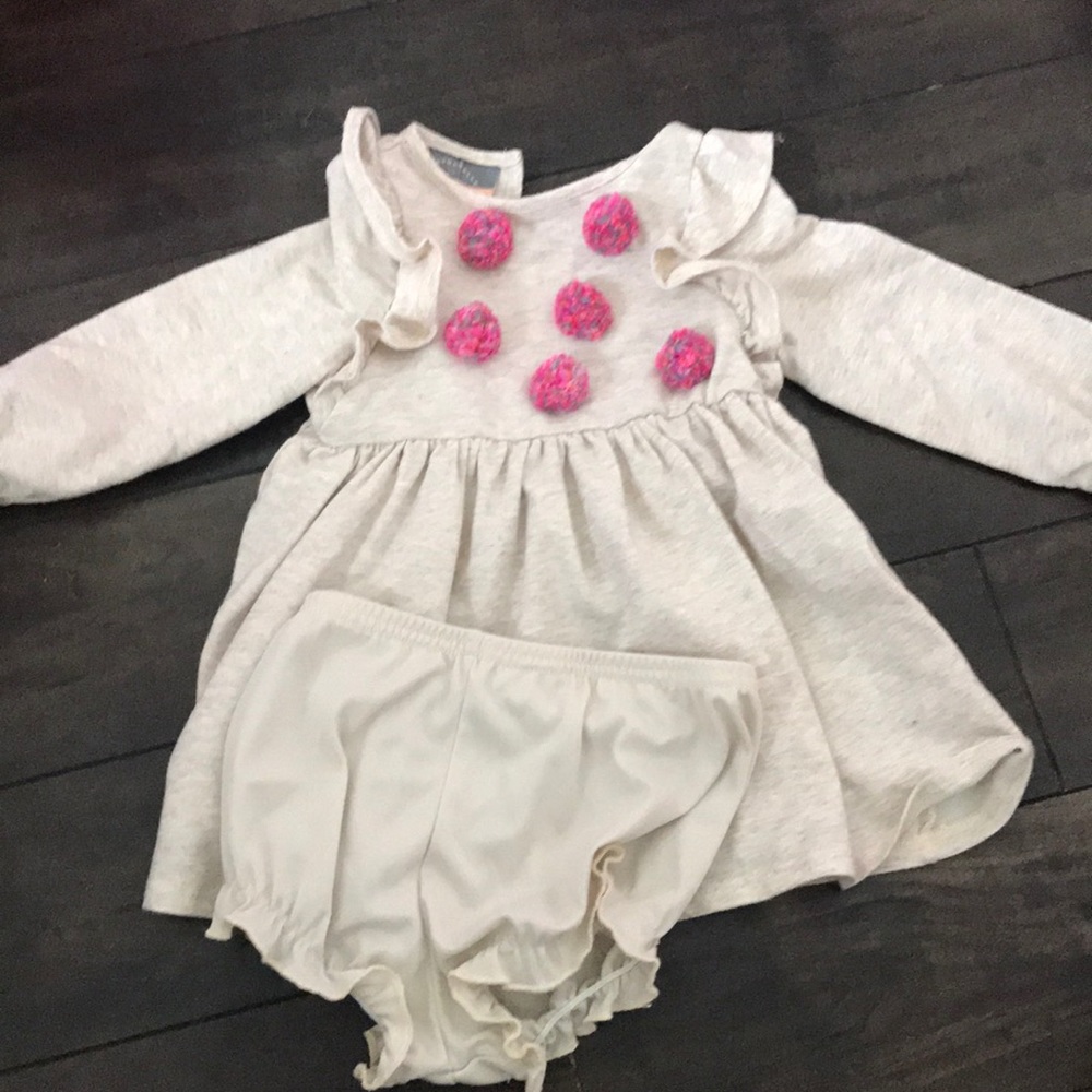 Adorable long sleeved dress with diaper cover